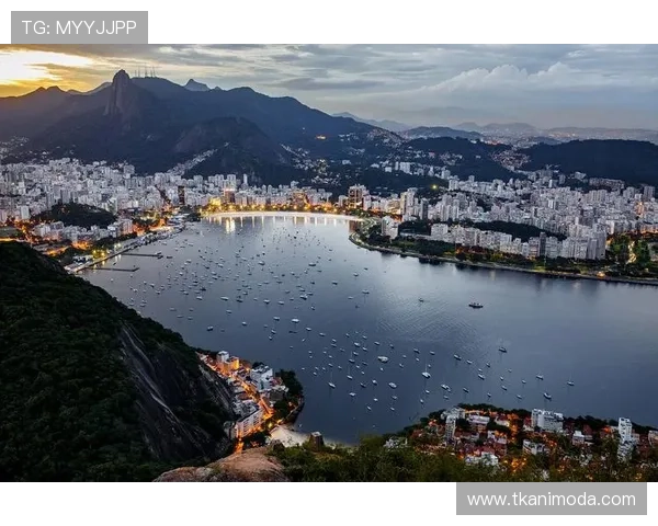 2024年世界杯巴西赔率走势全景解析帮助玩家把握最佳投注时机