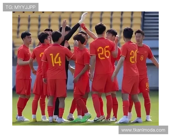 2023年世界杯预选赛中国直播全攻略,提供多渠道在线观看方式与高清直播体验